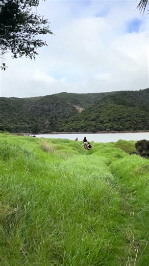 One of our favourite hiking tracks in West Auckland #hike #outdoors #family #waterfalls #adventures