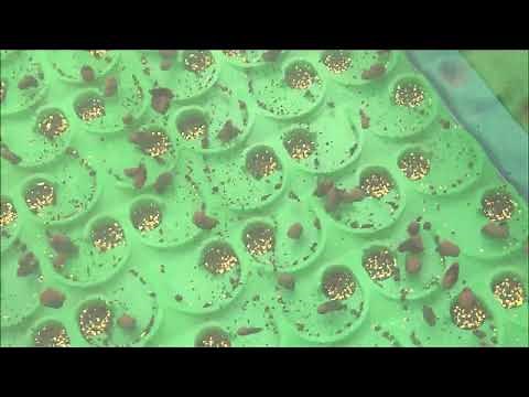 Dream Mat: Maximize Gold Recovery & Stop Losing Profits Downstream