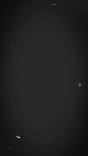 ลงแม่แบบแคปคัด บน TikTok