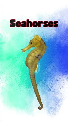 Unusual Reproduction: Seahorses 🐠👶 #shorts