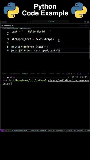 Python: Remove Leading and Trailing White spaces from a String [How To]