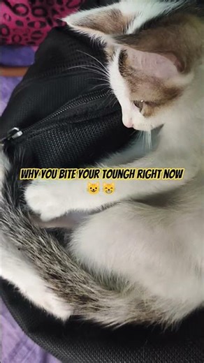 what would happen if you bite your toungh by accident😹😸. #shortvideo#TongueFacts