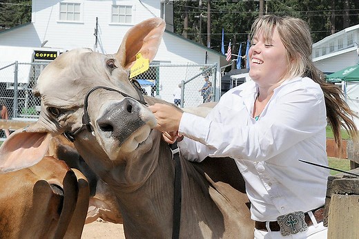 Logging show, talent show, Demo Derby coming up at Clallam County Fair - Peninsula Daily News