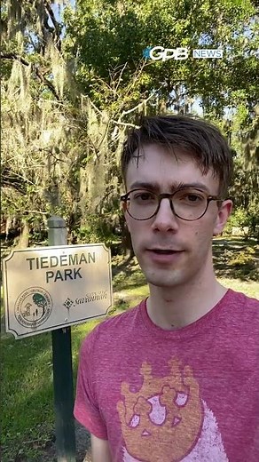 Hurricane Helene sweeps through Savannah, leaving downed trees, debris and widespread power outages