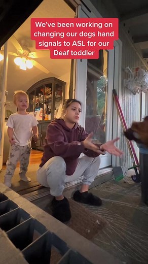1.3M views · 10K reactions | It’s a work in progress but I’m excited to be able to use these with our voices off! #signlanguage #asl #deaf #hearing #dog #sahm #parenting #toddler #dogtraining | Brittney Nolte | Facebook