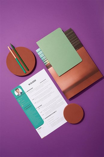 Professional Modern CV Template – Bilingual Dutch & English Resume – Editable Canva -powerpoint-instant Download - Etsy