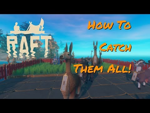 Raft - How to Capture Animals and Bees