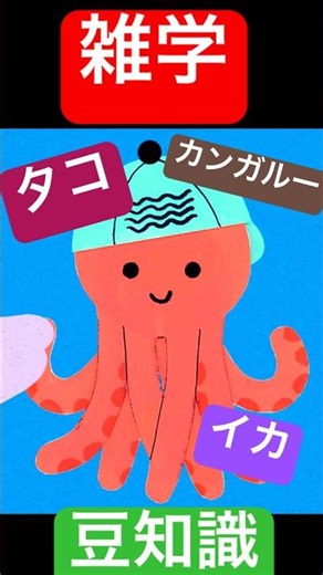 雑学3選 イカ・タコ・カンガルーに関する豆知識 #雑学 #豆知識 #channel