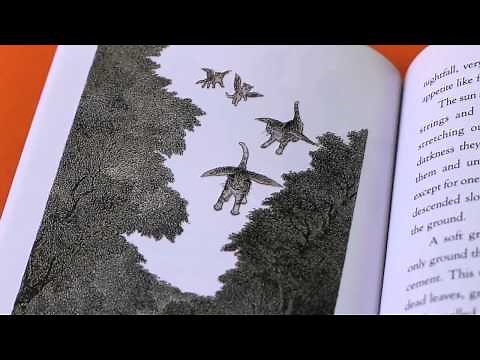 Best First Chapter Books to Read Aloud