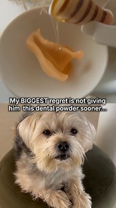 Used by over 500,000 customers in 2025, our award-winning dog dental powder ProBright Advanced has gone truly viral across the dog parent community. People say it's "the FASTEST way to clean dog teeth at home that doesn't require a toothbrush" – here's why: 🔬 Backed by 2 clinical trials 👨‍⚕️ Formulated by vets & nutritionists 🪥 No brushing needed 👏 Over 3 million PetLab Co customers | PetLab Co.