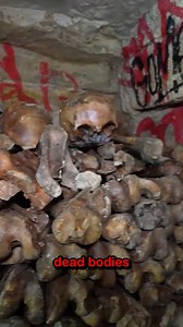 336K views · 8K reactions | I Went Ghost Hunting In Tunnels Below Paris | Drew Binsky | Facebook