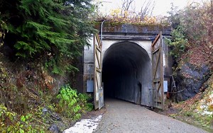 The Unique Tunnel In Washington Most People Don't Know Exists