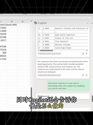 【Copilot指令教程】让Execl办公效率翻倍