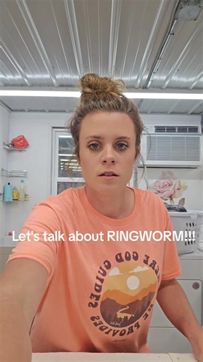 Let's talk about RING WORM!!!! RIngworm is a fungal infection on the skin that is very common especially among young kittens. Let's talk about treatment and how to prevent it when you bring a new baby home 🥰 #mainecoon #mainecooncat #mainecoonsofinstagram #mainecoonlife #mainecoonlovers | Action Farms Maine Coons