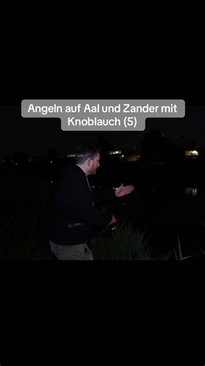 Angeln auf Aal und Zander mit Knoblauch (5)