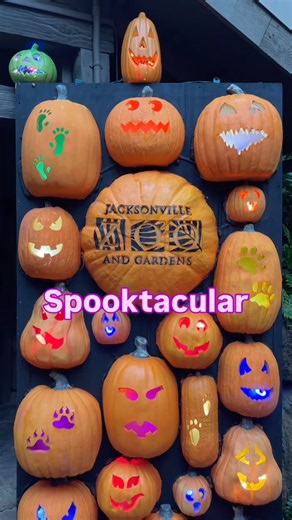 Jacksonville Zoo Spooktacular 2026 🎃👻 | Halloween Fun for the Whole Family!