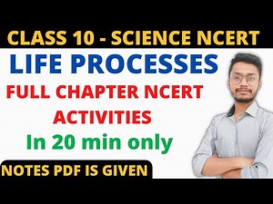 Ch 6 Life Processes Ncert Activities Solutions Class 10 Science