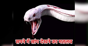 सपने में किस रंग का सांप देखने का क्‍या होता है मतलब? मिलेगा पैसा या होगी हानि