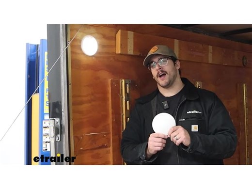 TecNiq Dome Surface Mount Light: Easy Install & Clean Light Output