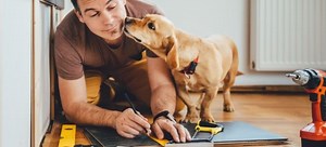 DIY Projects for Cat and Dog Owners | DoItYourself.com