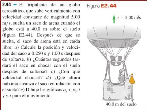 Calcular y Graficar la Posición y la Velocidad de un Saco en Caída Libre | Física Universitaria.