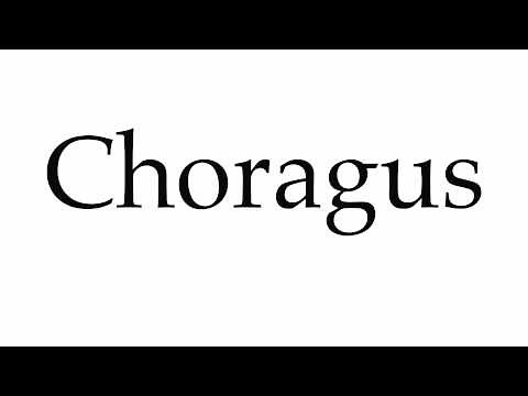 How to Pronounce Choragus