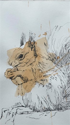 This morning a red squirrel dug in the soil, found a secret, and vanished up a tree to eat it like a tiny king. Later, I saw him again… in a teabag stain; that I couldn’t make sense of previously. He literally reappeared! As if hidden in the stain, waiting to be painted. Sometimes the simplest moments follow you home.☕🍂 #watercolourart #teabagart #mindfulpainting #soothingart #slowart #artstory #paintingreel #relaxingreel #redsquirrel #redsquirrelart #arttransformation #natureinspiredart #artfr