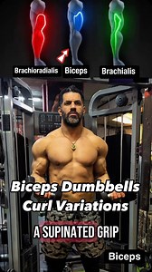 4.9K views · 1.5K reactions | Biceps dumbbells curl variations.  Sculpt your arms with Dumbbell Bicep Curl Variations From hammer curls to concentration curls, these variations hit your biceps from every angle, maximizing growth and definition. Switch it up to keep your muscles challenged and see the gains! Let’s curl those arms to perfection!  #bicepsworkout #dumbbellcurls #armday #strengthtraining #musclebuilding #fitnessgoals #BicepGains | Bodyfitness GYM | Facebook