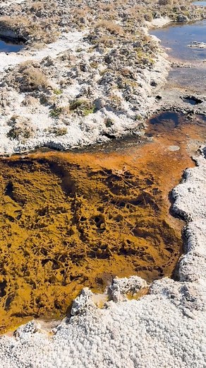 81K views · 598 reactions |  Baker Hot Springs: where the earth...