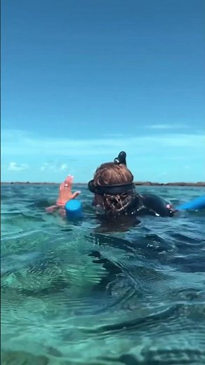 Snorkeling in Mozambique's Underwater Paradise 🐠🐢🏝️🤿
