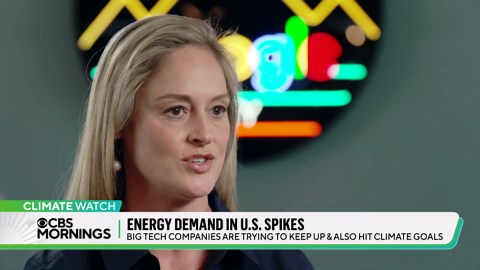 How AI impacts the climate