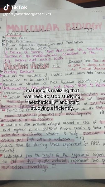 Efficient Study Techniques: Aesthetic vs. Productive Notes