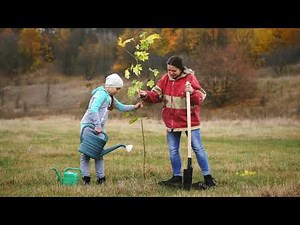 Girl Scout Tree Promise: How to Get Started