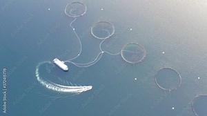 Salmon fish farm in Norway sea. Food industry, traditional craft production, environmental conservation. Aerial view of seafood business with round mesh for growing and catching fish in arctic water