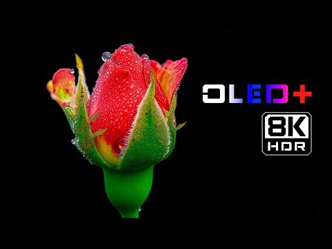 OLED TEST – Dreamlike Nature Flower in 8K HDR | Dolby Vision™