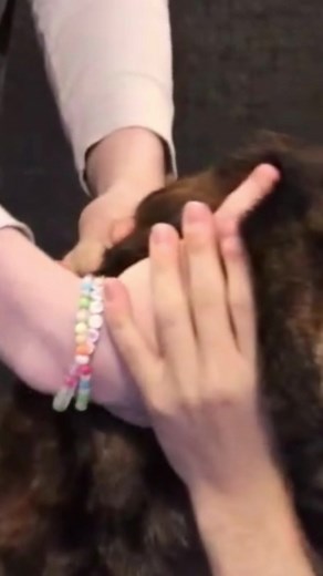 Preventing Transmission of Infections Through Sharing