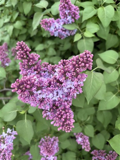 nadia.in.canada on TikTok