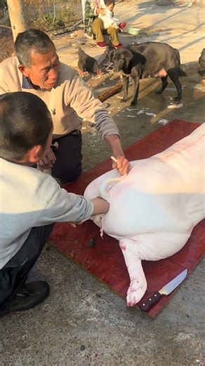 Unveil the Mystery: How to Peel and Clean a Snake - Lichang