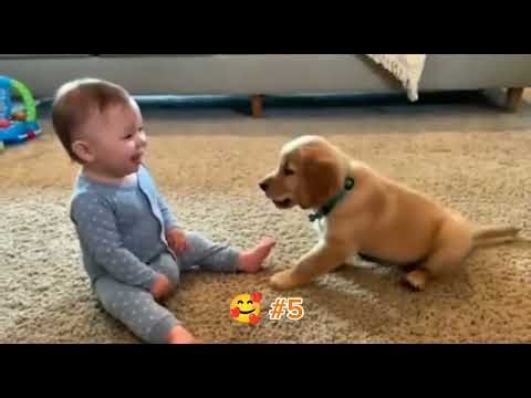 You Won’t Stop Smiling 😊 Baby and Dogs Compilation | Cutest Puppy Reactions Ever 🐶