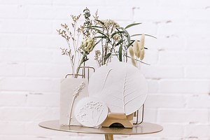 Plaster Casting Kit & Video | The Crafter’s Box