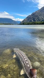 Beautiful. #fishing #fishinglife #fish #fisherman #boating #nature | Daily Fishing Stories