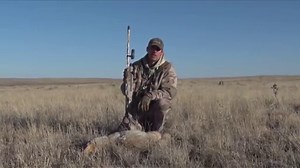 Predator Quest  - Coyotezilla