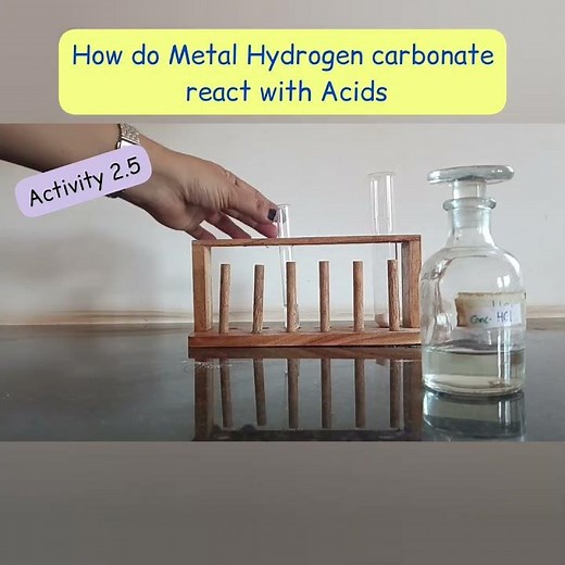 Activity 2.5|| How do Metal hydrogen carbonate react with Acids || Class 10