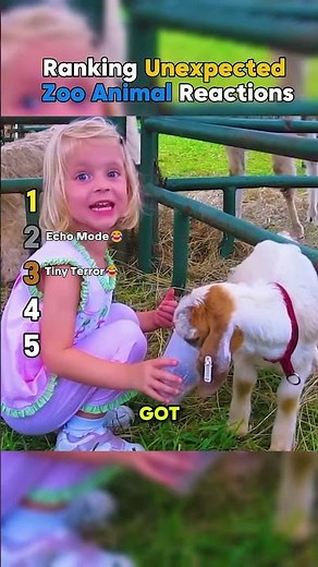 Ranking Unexpected Zoo Animal Reactions 🦁😲 || #zoomoments #funnyanimals @SmileRush-YT