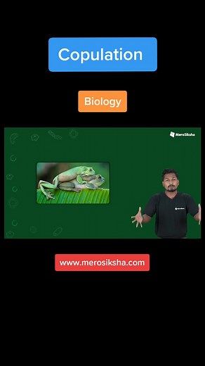 MeroSiksha Learning App on TikTok