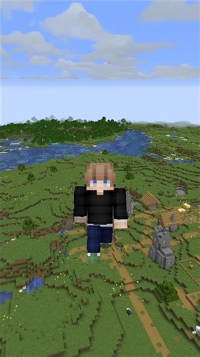 This Is A PERFECT FLAT STARTER SEED For Minecraft 1.21.11 #minecraft #minecraftseed