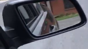 295 reactions · 12 shares | We had a happy customer send this video...