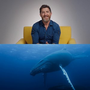 An absolutely epic moment for Operations and Survival Expert Aldo Kane 🐋 #OceanXplorers is now streaming on Disney and Hulu. | National Geographic Animals