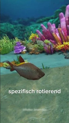 rotierender Spezi-Fisch #brainrot #lustig #fish #meme #brainrot #horizontal #german