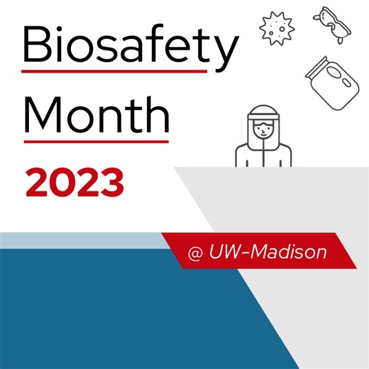 Lab incident reporting: What happens when I submit a First Report